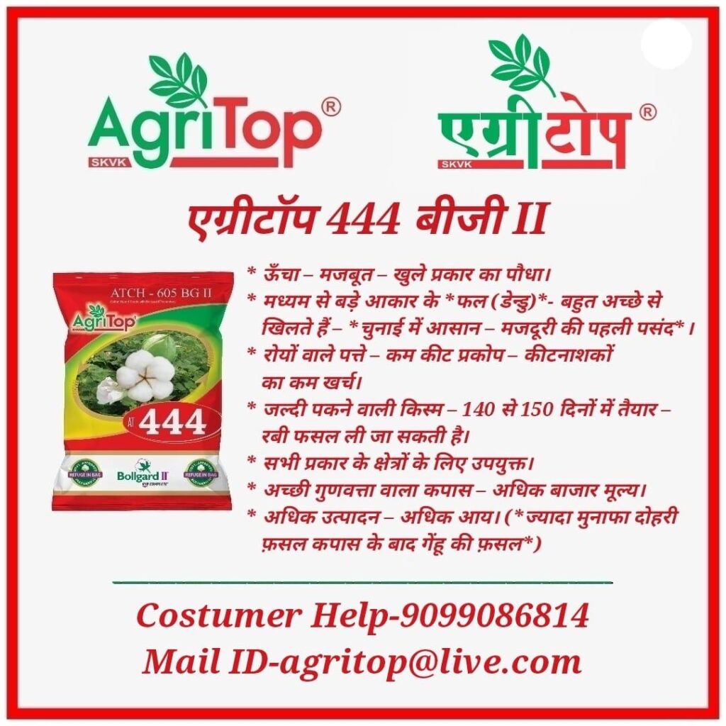 WhatsApp Image 2025-05-17 at 15.28.03 (1)