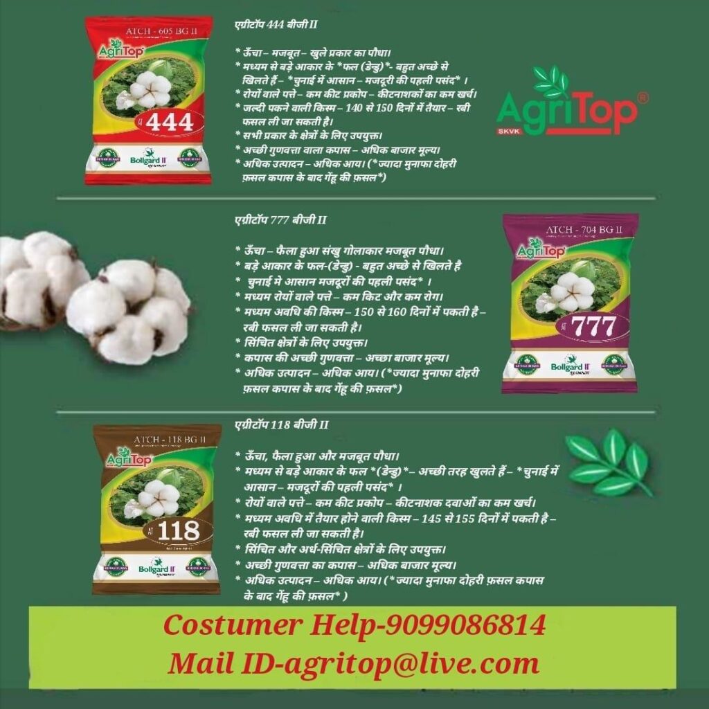 WhatsApp Image 2025-05-17 at 15.28.03