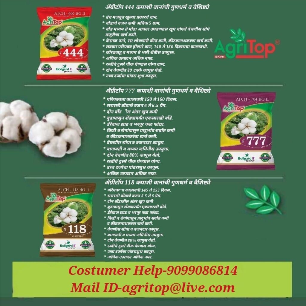 WhatsApp Image 2025-05-17 at 15.28.04 (1)