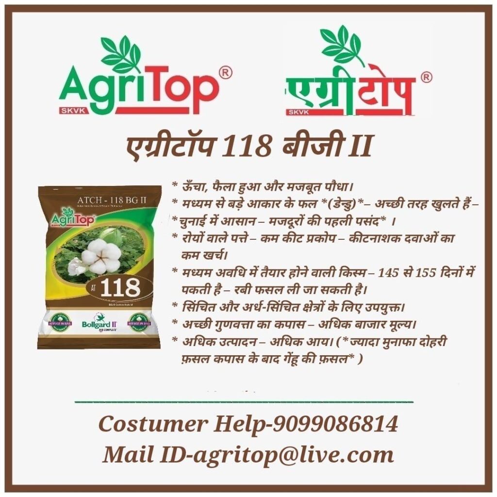 WhatsApp Image 2025-05-17 at 15.28.04