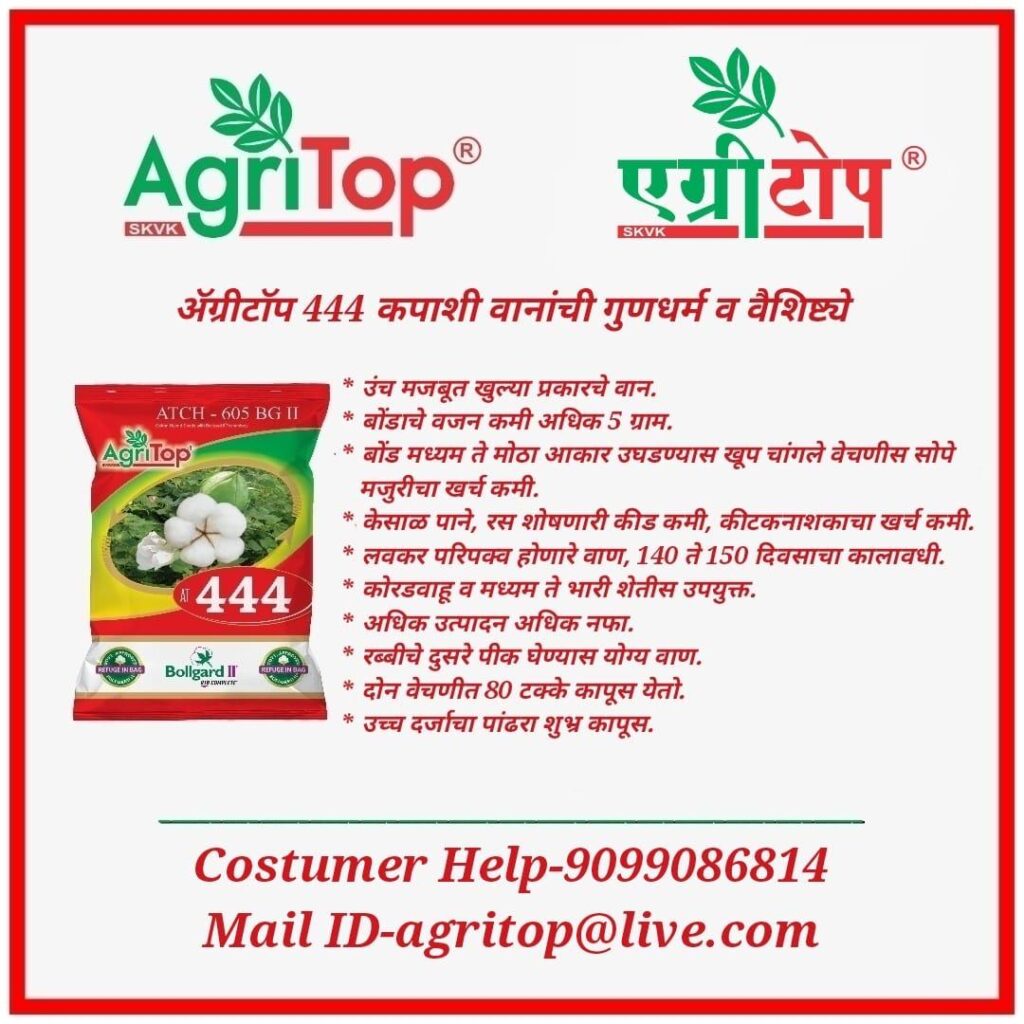 WhatsApp Image 2025-05-17 at 15.28.04 (2)