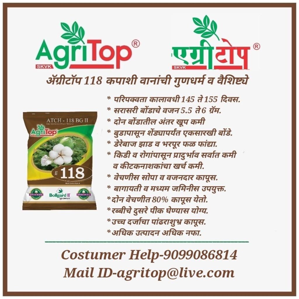 WhatsApp Image 2025-05-17 at 15.28.05 (1)