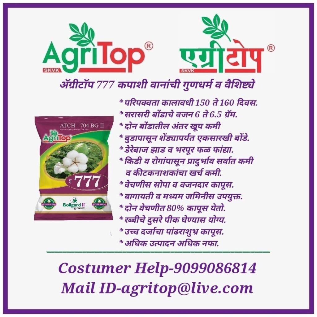 WhatsApp Image 2025-05-17 at 15.28.05