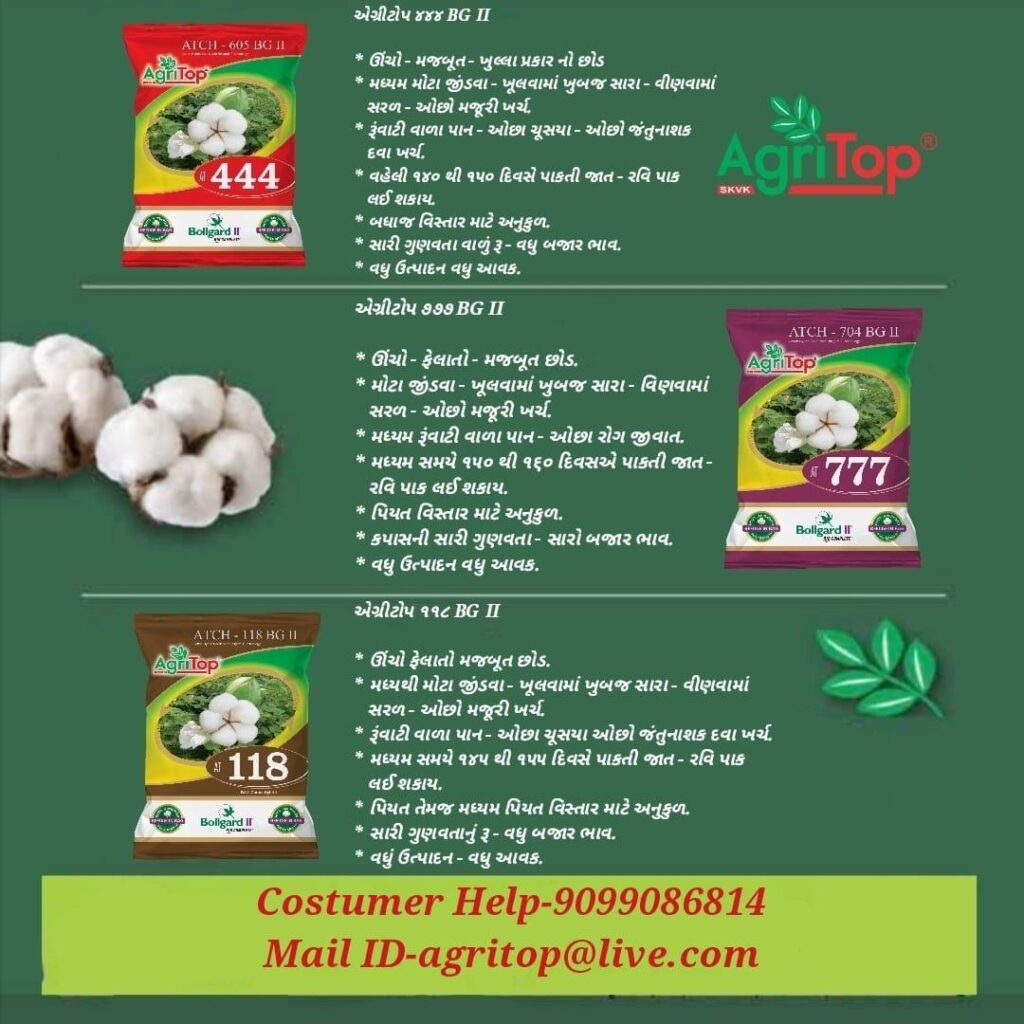 WhatsApp Image 2025-05-17 at 15.28.05 (2)