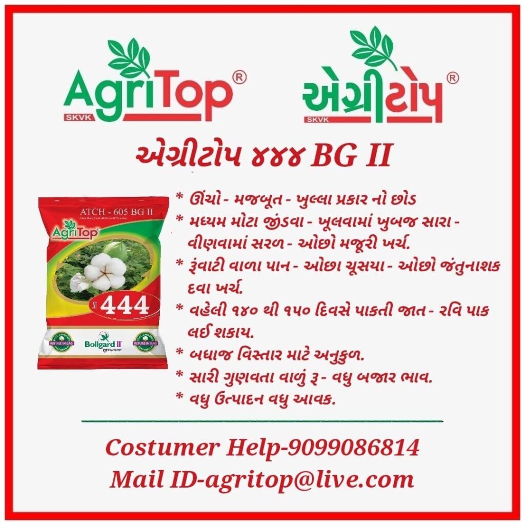 WhatsApp Image 2025-05-17 at 15.28.06